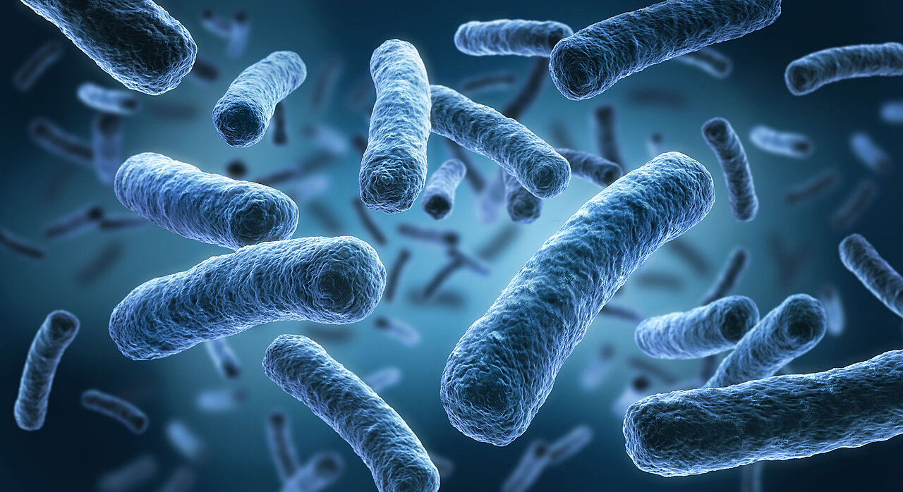 Trinkwasserhygiene – von der Prüfung bis zur Sanierung